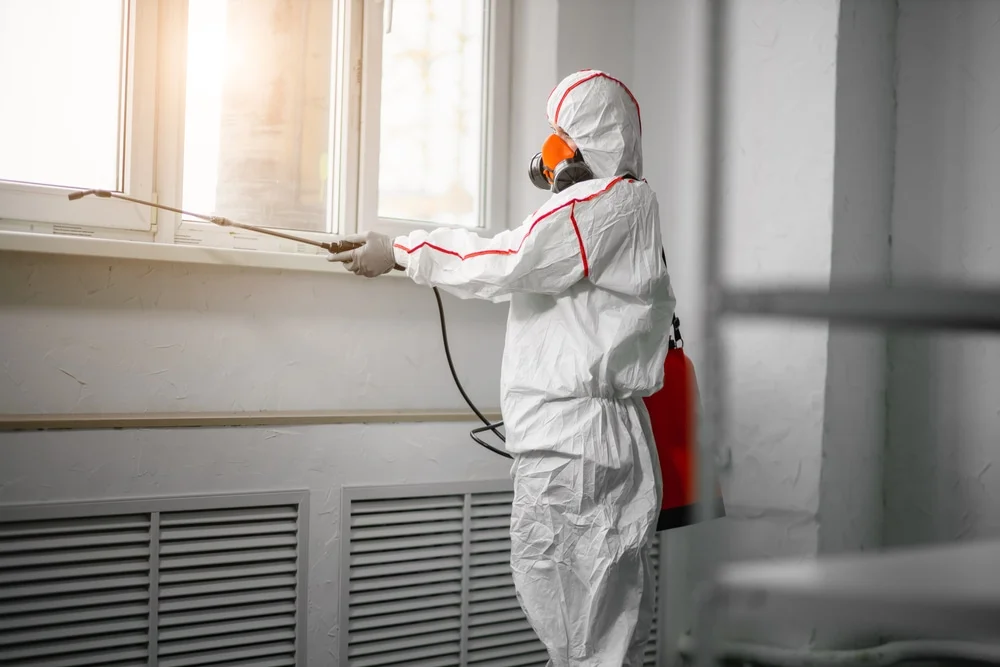 Professional mold remediation services in Cobb Island, MD